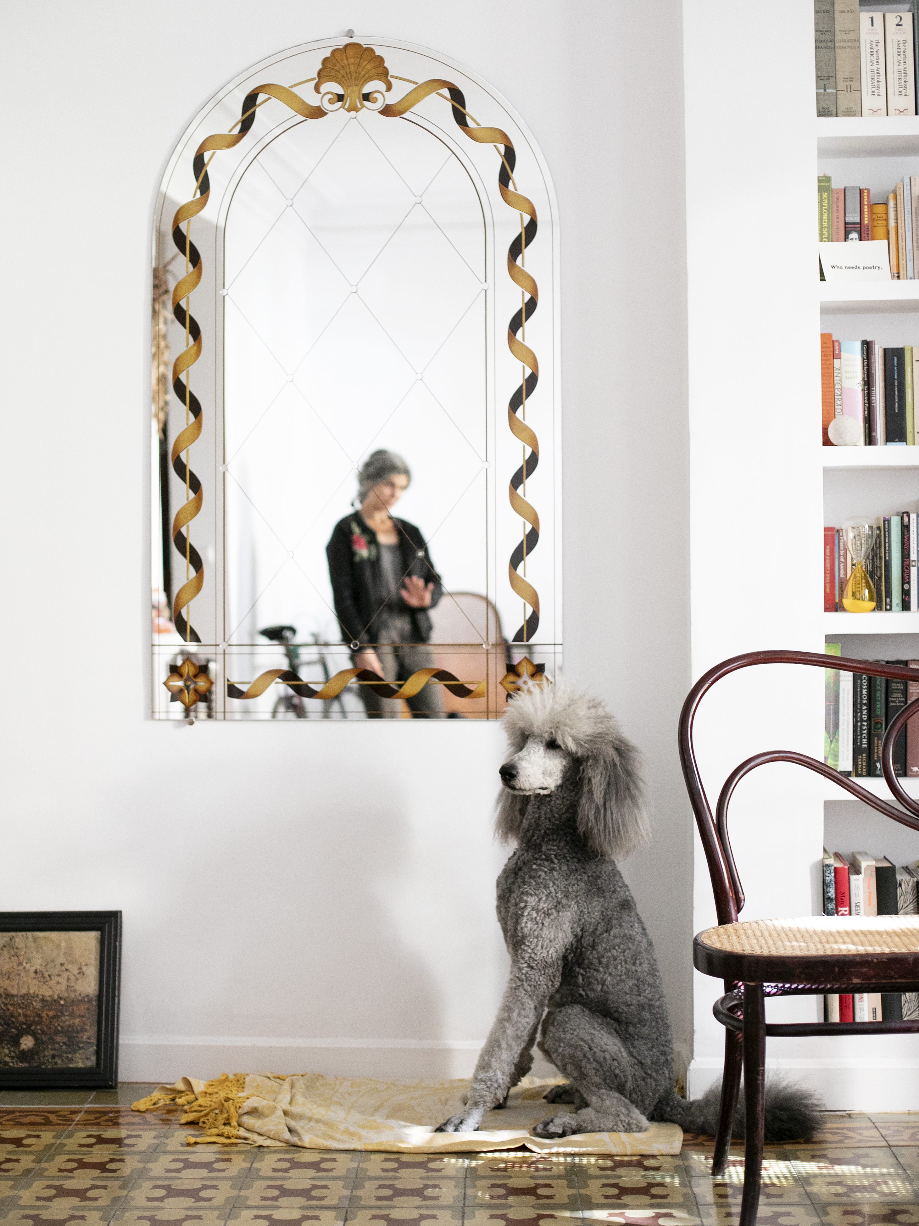 reportage mascotas y sus dueñoss sesión en tu casa y/o lugar de paseo en Madrid centro. 